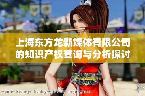 上海东方龙新媒体有限公司的知识产权查询与分析探讨