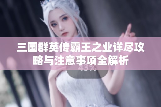 三国群英传霸王之业详尽攻略与注意事项全解析