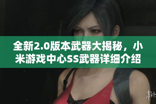 全新2.0版本武器大揭秘，小米游戏中心SS武器详细介绍