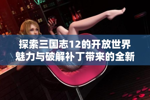 探索三国志12的开放世界魅力与破解补丁带来的全新游戏体验