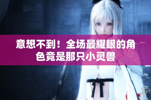 意想不到！全场最耀眼的角色竟是那只小灵兽