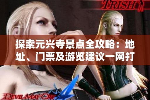 探索元兴寺景点全攻略：地址、门票及游览建议一网打尽