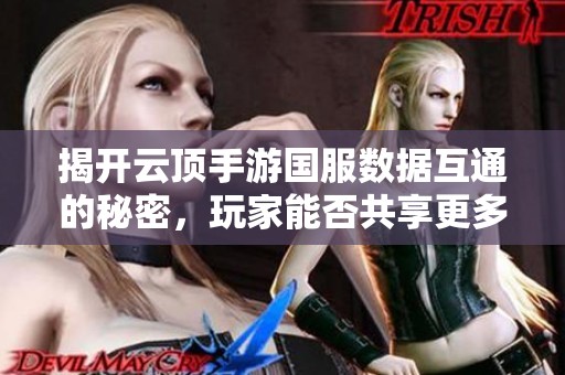 揭开云顶手游国服数据互通的秘密，玩家能否共享更多游戏乐趣