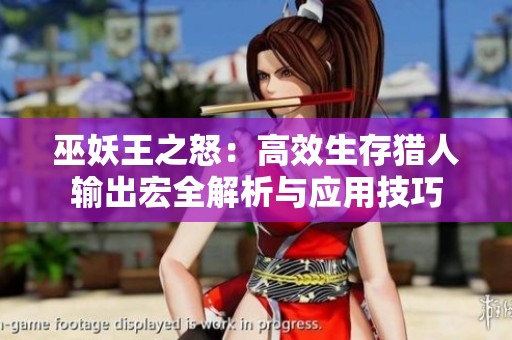 巫妖王之怒：高效生存猎人输出宏全解析与应用技巧