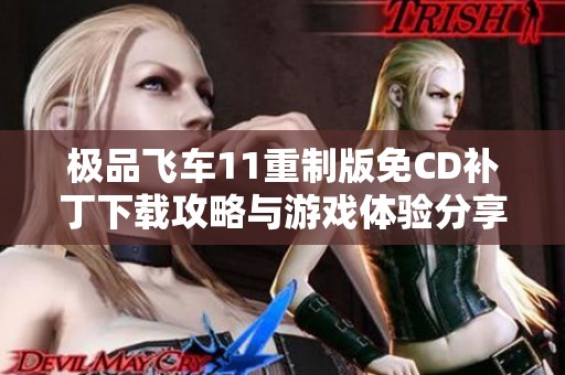 极品飞车11重制版免CD补丁下载攻略与游戏体验分享