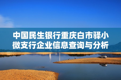 中国民生银行重庆白市驿小微支行企业信息查询与分析