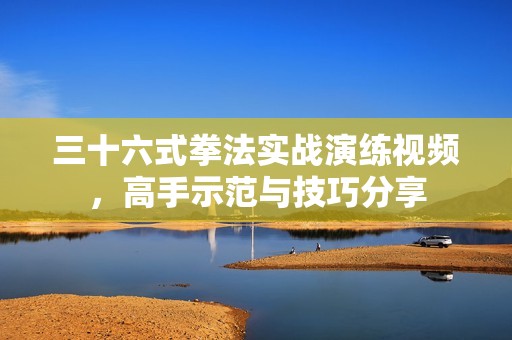 三十六式拳法实战演练视频，高手示范与技巧分享