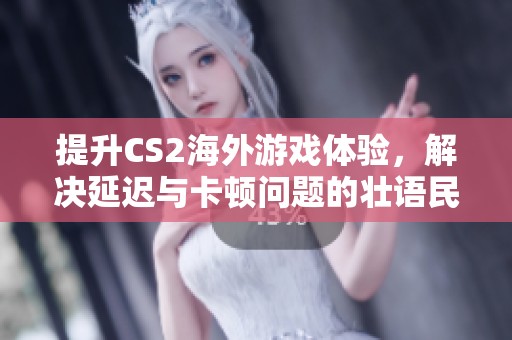 提升CS2海外游戏体验，解决延迟与卡顿问题的壮语民歌音乐盒探索