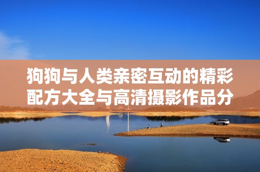 狗狗与人类亲密互动的精彩配方大全与高清摄影作品分享