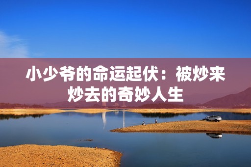 小少爷的命运起伏：被炒来炒去的奇妙人生