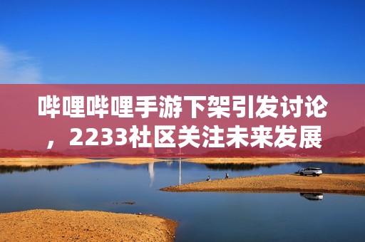 哔哩哔哩手游下架引发讨论，2233社区关注未来发展动向