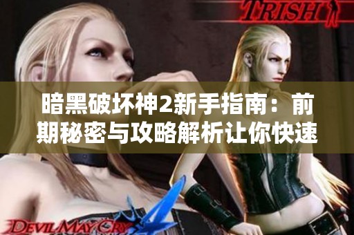 暗黑破坏神2新手指南：前期秘密与攻略解析让你快速上手