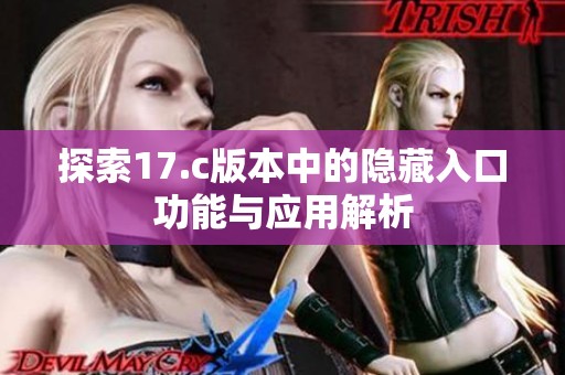 探索17.c版本中的隐藏入口功能与应用解析