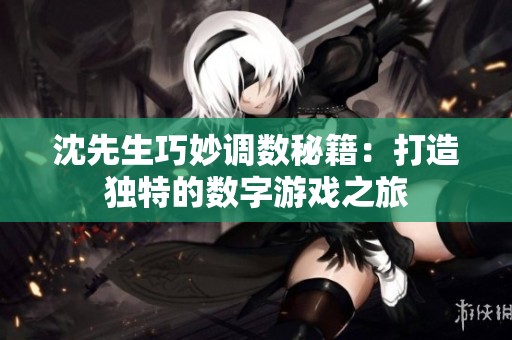 沈先生巧妙调数秘籍：打造独特的数字游戏之旅