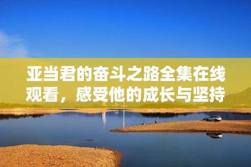 亚当君的奋斗之路全集在线观看，感受他的成长与坚持
