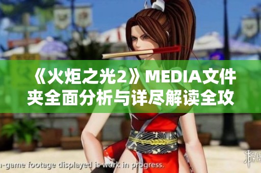 《火炬之光2》MEDIA文件夹全面分析与详尽解读全攻略
