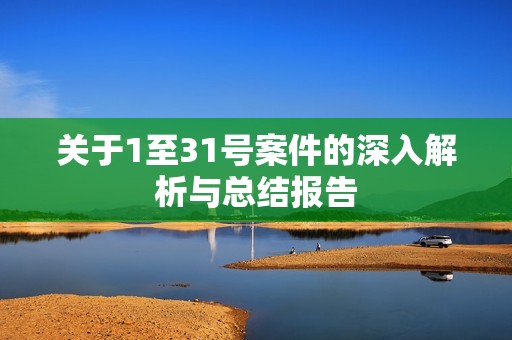 关于1至31号案件的深入解析与总结报告