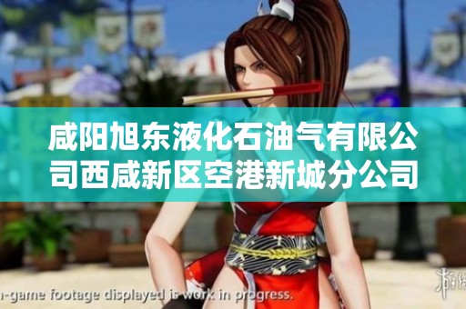 咸阳旭东液化石油气有限公司西咸新区空港新城分公司业务概览与发展前景分析