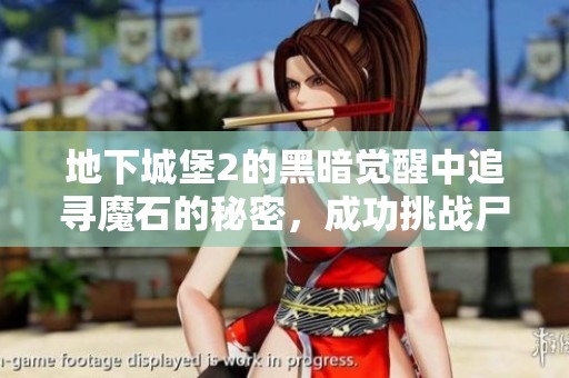 地下城堡2的黑暗觉醒中追寻魔石的秘密，成功挑战尸王的激动历程分享