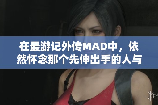 在最游记外传MAD中，依然怀念那个先伸出手的人与那些未被关注的故事