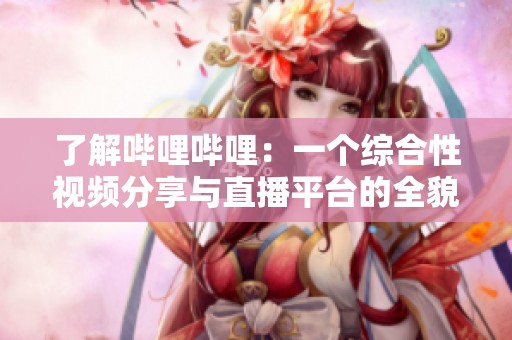 了解哔哩哔哩：一个综合性视频分享与直播平台的全貌