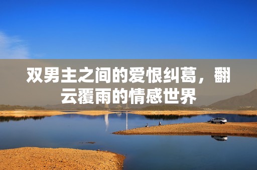 双男主之间的爱恨纠葛，翻云覆雨的情感世界