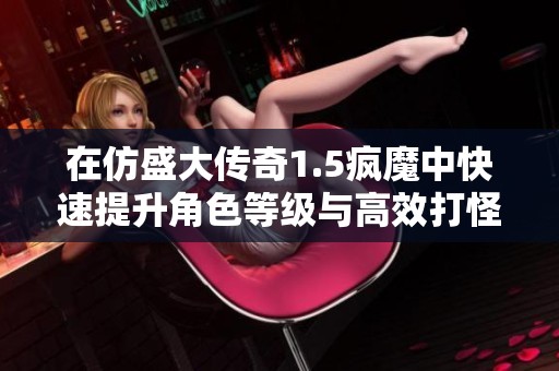 在仿盛大传奇1.5疯魔中快速提升角色等级与高效打怪的实用策略分享
