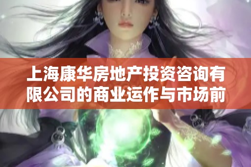 上海康华房地产投资咨询有限公司的商业运作与市场前景详细分析报告