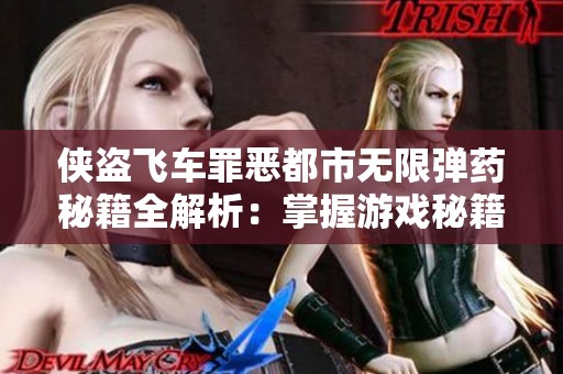 侠盗飞车罪恶都市无限弹药秘籍全解析：掌握游戏秘籍畅享极致乐趣指南