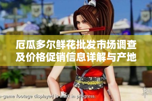 厄瓜多尔鲜花批发市场调查及价格促销信息详解与产地货源解析