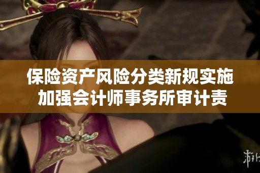 保险资产风险分类新规实施 加强会计师事务所审计责任保障金融安全