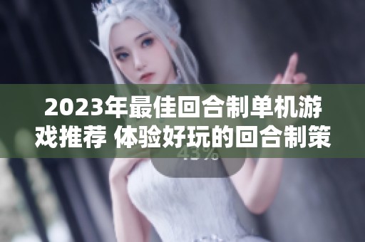 2023年最佳回合制单机游戏推荐 体验好玩的回合制策略与冒险乐趣