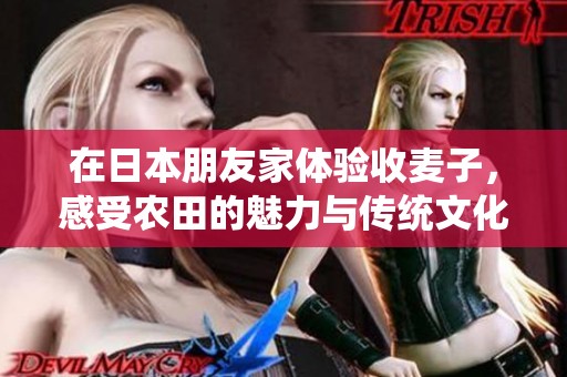 在日本朋友家体验收麦子，感受农田的魅力与传统文化
