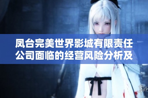 凤台完美世界影城有限责任公司面临的经营风险分析及应对策略探讨