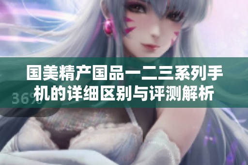 国美精产国品一二三系列手机的详细区别与评测解析