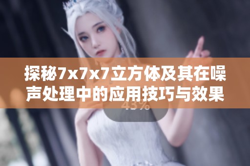 探秘7x7x7立方体及其在噪声处理中的应用技巧与效果