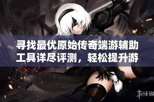 寻找最优原始传奇端游辅助工具详尽评测，轻松提升游戏体验与效率的全攻略