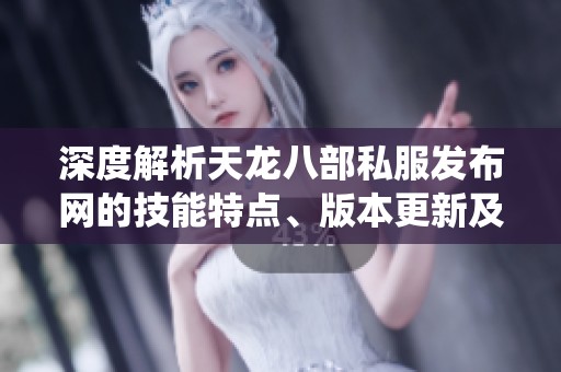 深度解析天龙八部私服发布网的技能特点、版本更新及装备系统详解