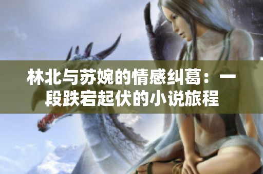 林北与苏婉的情感纠葛：一段跌宕起伏的小说旅程