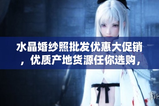 水晶婚纱照批发优惠大促销，优质产地货源任你选购，打造梦想婚礼回忆