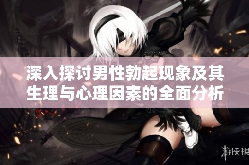 深入探讨男性勃起现象及其生理与心理因素的全面分析