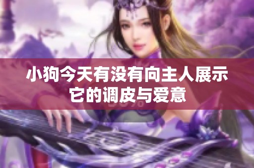小狗今天有没有向主人展示它的调皮与爱意