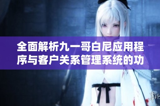 全面解析九一哥白尼应用程序与客户关系管理系统的功能与特点