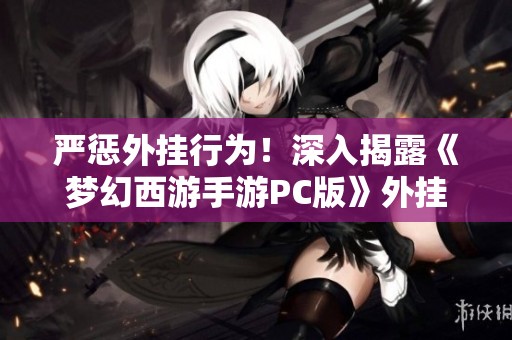 严惩外挂行为！深入揭露《梦幻西游手游PC版》外挂的危害及其防治措施