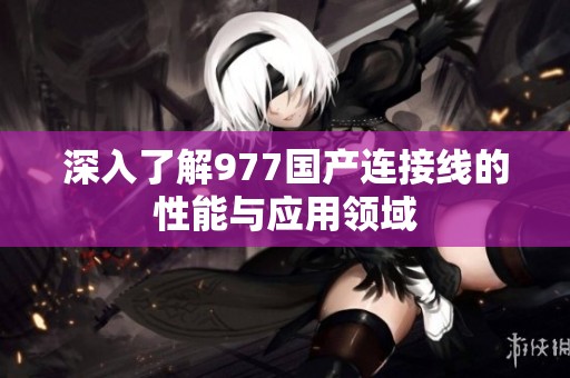 深入了解977国产连接线的性能与应用领域