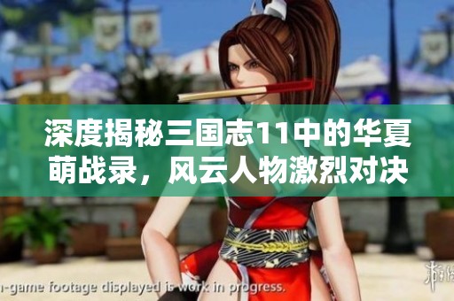 深度揭秘三国志11中的华夏萌战录,风云人物激烈对决与智勇博弈的传奇故事