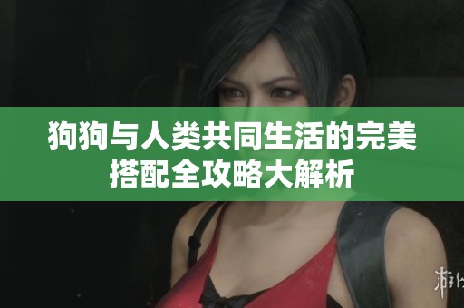 狗狗与人类共同生活的完美搭配全攻略大解析