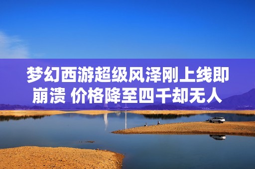梦幻西游超级风泽刚上线即崩溃 价格降至四千却无人问津引热议