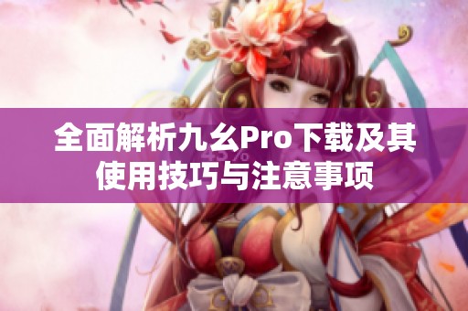 全面解析九幺Pro下载及其使用技巧与注意事项