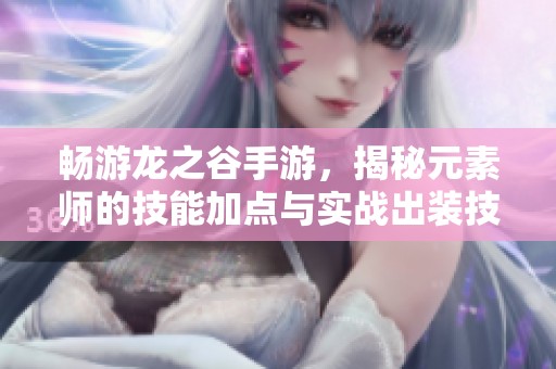 畅游龙之谷手游，揭秘元素师的技能加点与实战出装技巧全解析